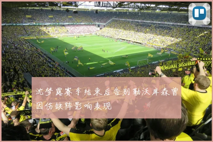 沈梦露赛季结束后告别勒沃库森曾因伤缺阵影响表现
